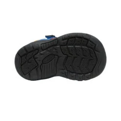 Keen Toddlers' Newport H2SHO | Multi/Bright Cobalt -Keen 0f9ee6253f57862281132f6947140b18015f43b1